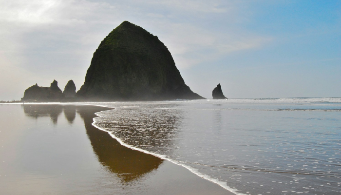 北海滩最新疫情:全面揭秘与科学应对策略 北海滩最新疫情:全面揭秘与科学应对策略