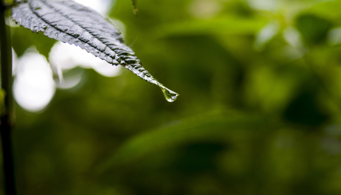 疫情最新烟台：全面了解最新动态与防疫策略