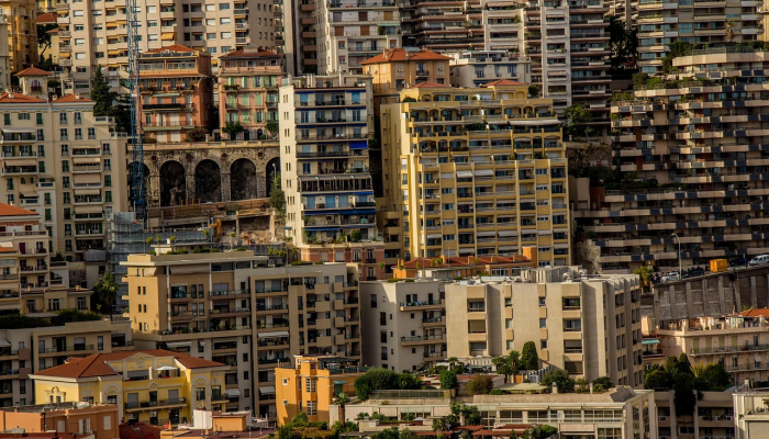 鹤立西路最新疫情消息：全面解读与防护指南