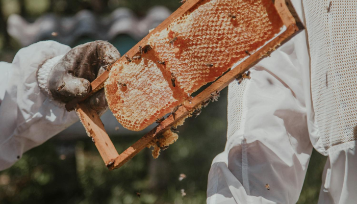 嘉善商城疫情最新消息:安全第一,共同守护健康生活 嘉善商城疫情最新消息:安全第一,共同守护健康生活