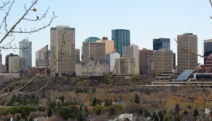 巴中龙庭最新疫情：你需要知道的全面信息