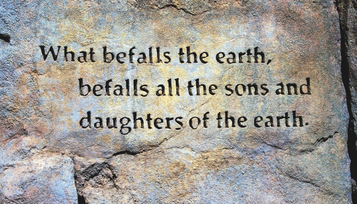 查一下最新疫情动态:全球健康前沿与你的防护指南 查一下最新疫情动态:全球健康前沿与你的防护指南