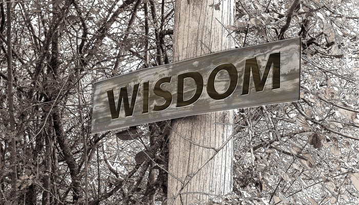 木林镇最新疫情:防控措施与社区生活 木林镇最新疫情:防控措施与社区生活