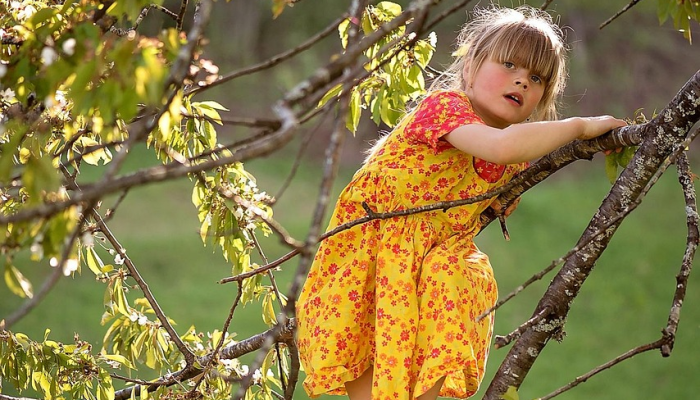 花博会最新疫情:安全与美丽并重的盛会 花博会最新疫情:安全与美丽并重的盛会