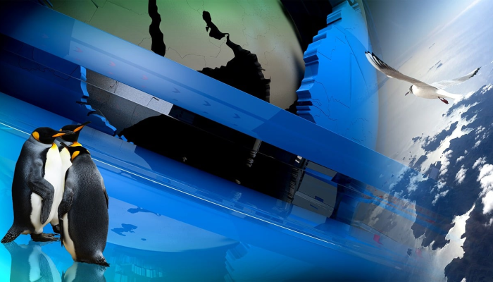 南屏西路最新通知疫情:你需要知道的关键信息 南屏西路最新通知疫情:你需要知道的关键信息