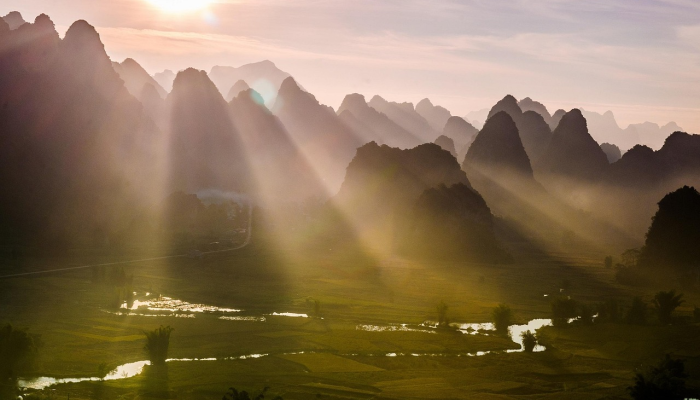 疫情最新报道阳光：科学与希望的交汇