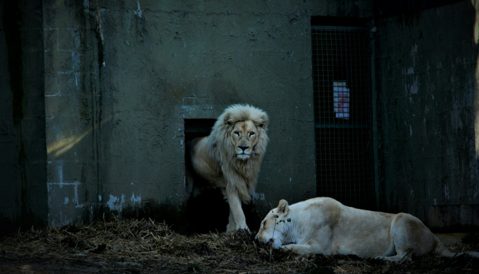 巴州最新疫情:安全防护与健康生活指南 巴州最新疫情:安全防护与健康生活指南