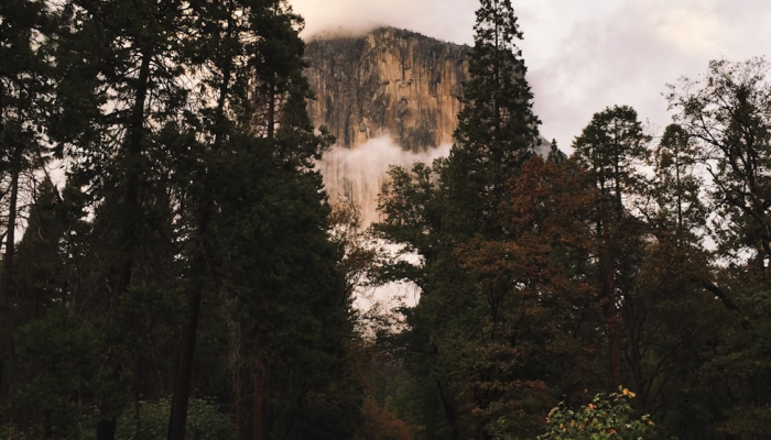 宜宾疫情最新南溪:全面解析与健康守护 宜宾疫情最新南溪:全面解析与健康守护