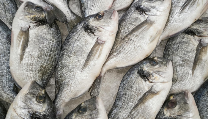 进口带鱼最新疫情:全面揭秘背后的健康隐患与应对策略 进口带鱼最新疫情:全面揭秘背后的健康隐患与应对策略