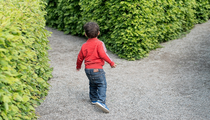 渌口县最新疫情:防疫措施与社区生活 渌口县最新疫情:防疫措施与社区生活