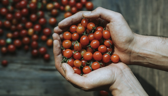 桂花最新疫情:防护与健康的双重保障 桂花最新疫情:防护与健康的双重保障