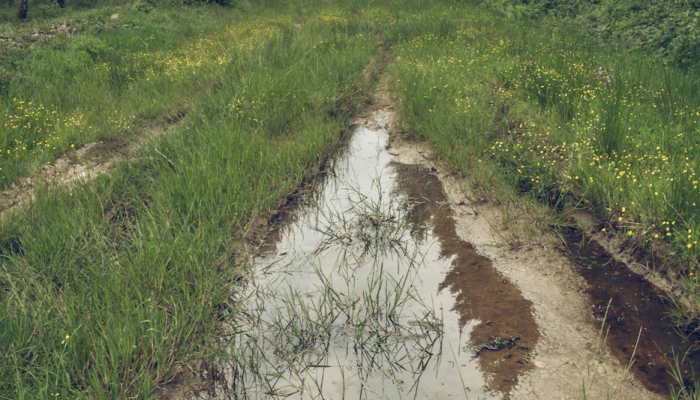 天津疫情区域通报最新 天津疫情区域通报最新